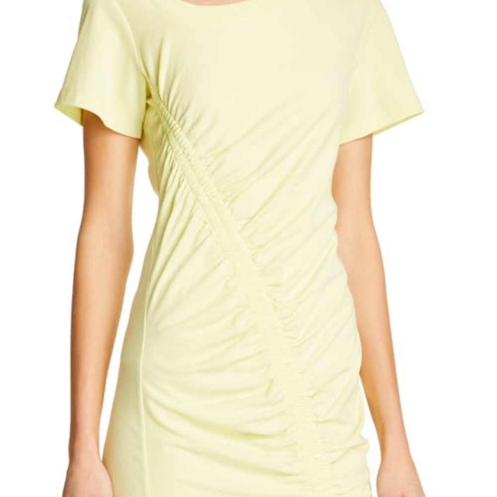 Alexander Wang. T